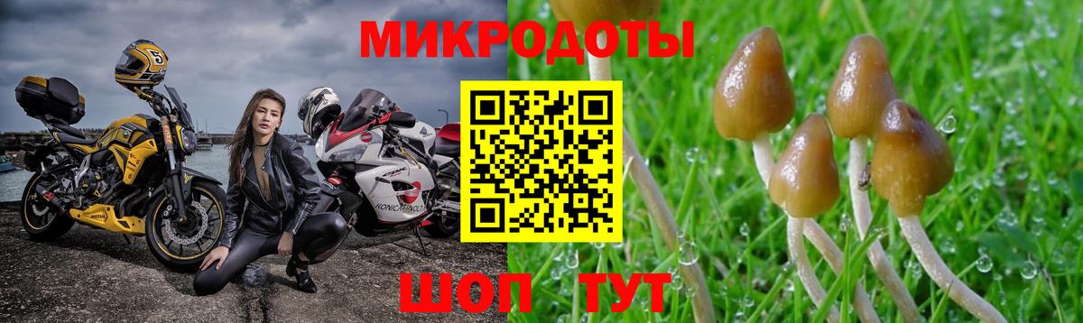 Псилоцибиновые грибы Cubensis Алатырь
